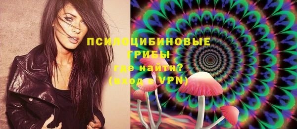 кокс Белокуриха