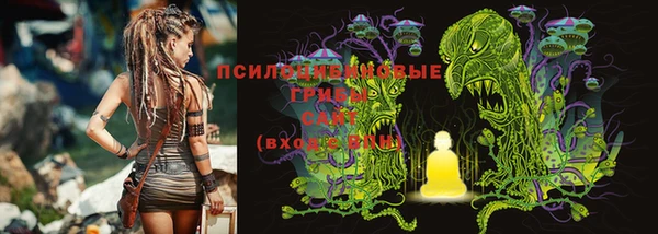 кокс Белокуриха