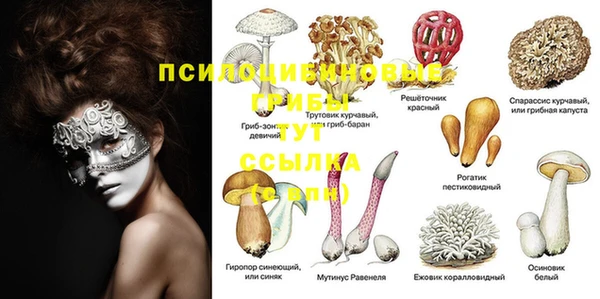 амф Балахна